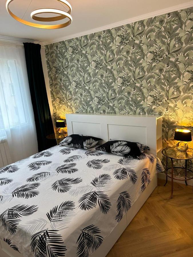 Alex Apartament Central بوخارست المظهر الخارجي الصورة